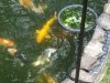20180818_185517.jpg