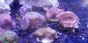 20181027_164317.jpg 20181027_164317.jpg
