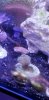 20181027_164220.jpg