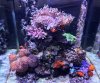 FTS 10-21-18.jpg