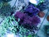 27FF1754-0E4F-46CB-812C-F5B37BB40D9B.jpeg