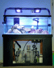 20150611_173820-2.gif