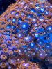 7A366D0C-2442-4CAD-80D4-D9C4318806F1.jpeg