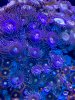 7D73676A-386A-413A-B387-6DBF88585B47.jpeg