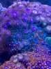 98AF0683-A598-4296-A12A-2105D6230721.jpeg