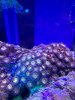 90532070-6AF0-46FE-8CD0-C16E3FC3CCC6.jpeg