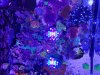 20181206_190634.jpg