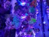 20181206_190644.jpg