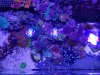 20181206_190652.jpg