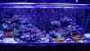 20181209_155346.jpg