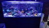 20181209_155318.jpg