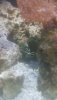 20190610_000720.jpg