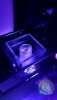20190823_024858.jpg