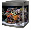 BioCube29_Front[1].png