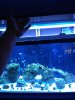 IMG_20190830_165943864.jpg
