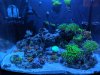 IMG_20190904_182222.jpg