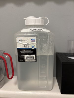 IMG_2240.jpeg