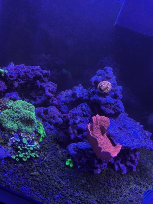IMG_2082.jpeg