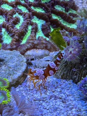 IMG_8148.jpeg