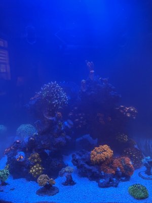 IMG_2289.jpeg