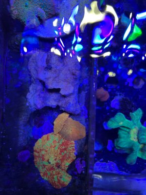IMG_5121.jpeg