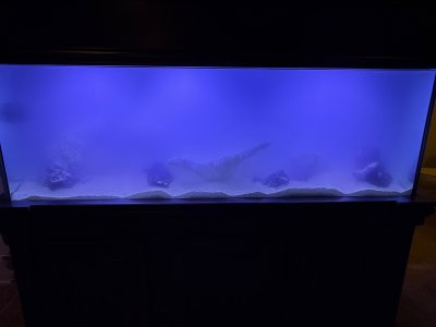 IMG_0784.jpeg