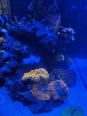 IMG_2354.jpeg