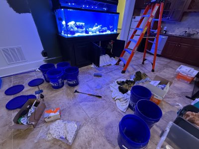 IMG_0794.jpeg