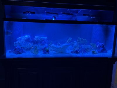 IMG_0802.jpeg