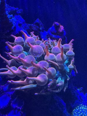 IMG_4078.jpeg