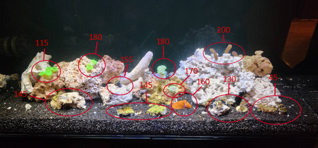 08_May_2025_50g_PAR_measurement.png 08_May_2025_50g_PAR_measurement.png