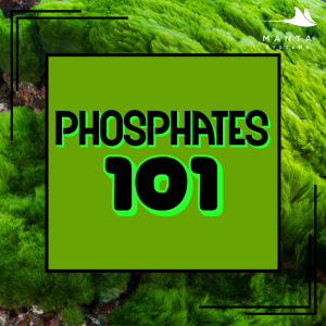 Phosphates.png