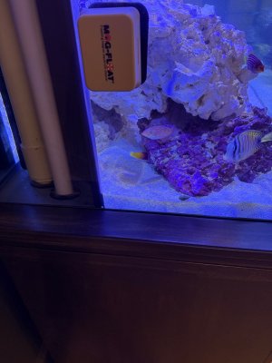 IMG_0914.jpeg