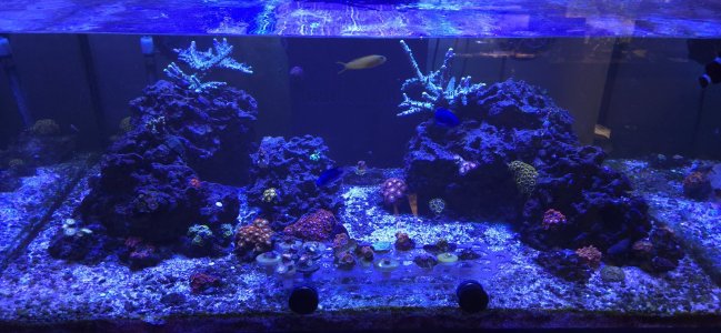 2025-05-16 16.09.14.jpg
