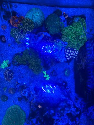 IMG_8454.jpeg