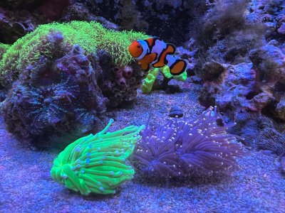 IMG_8461.jpeg