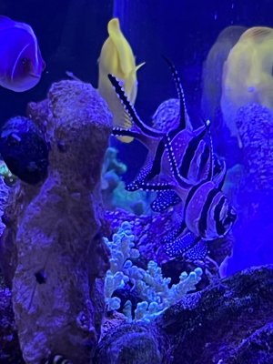 IMG_5510.jpeg