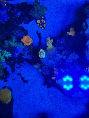 IMG_2745.jpeg