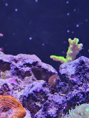 20250526_101946.jpg