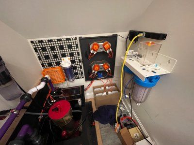IMG_1176.jpeg