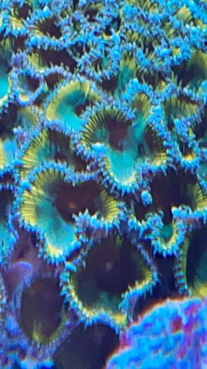 IMG_8580.jpeg