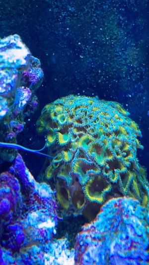 IMG_8579.jpeg