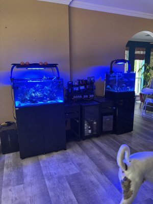 IMG_2854.jpeg