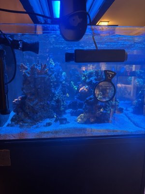 IMG_2861.jpeg