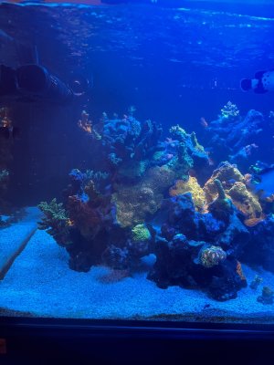 IMG_2857.jpeg