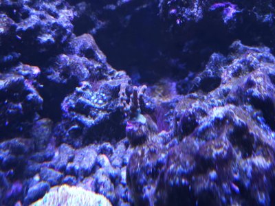20250601_144110.jpg