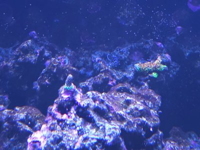 20250601_144129.jpg