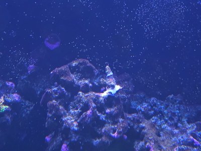 20250601_144139.jpg