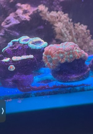 IMG_5345.jpeg