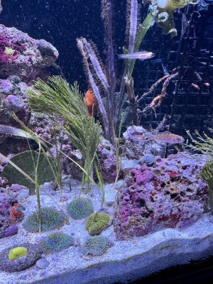 IMG_9091.jpeg